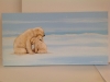 polar-cuddle